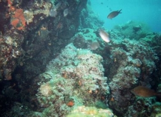 Fondo marino de Salento